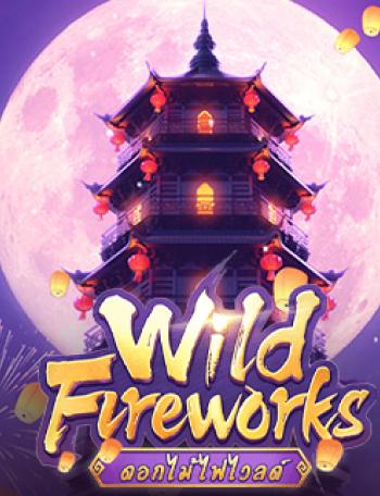 Wild Fireworks Pháo Hoa Wild