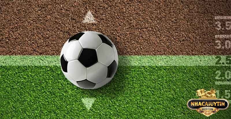 Dựa vào biến động tỷ lệ kèo để chọn kèo lựa dễ thắng