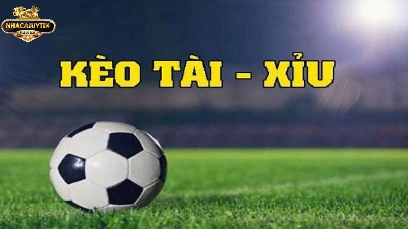 Kèo tài xỉu là gì? Mẹo chơi kèo tài xỉu chắc thắng