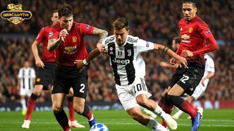 Cách đọc kèo tài xỉu là gì